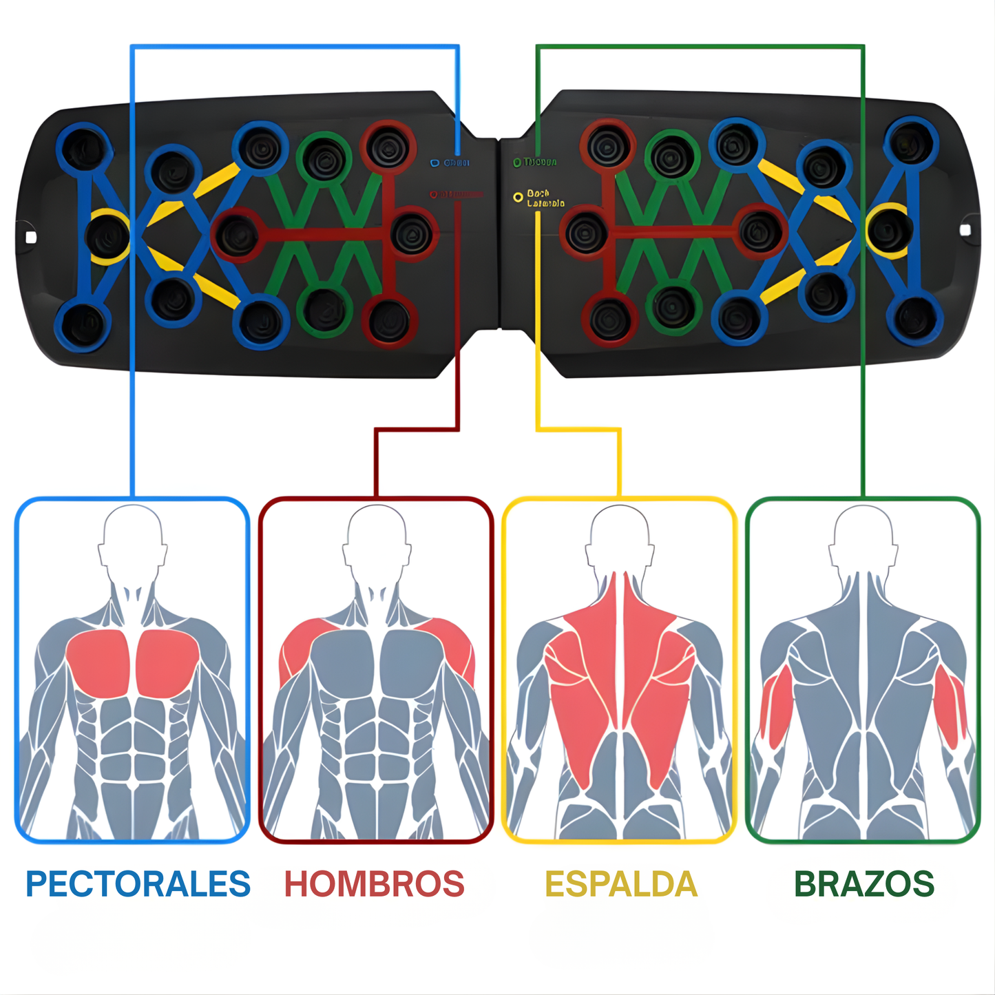 Push Up Board 28 en 1